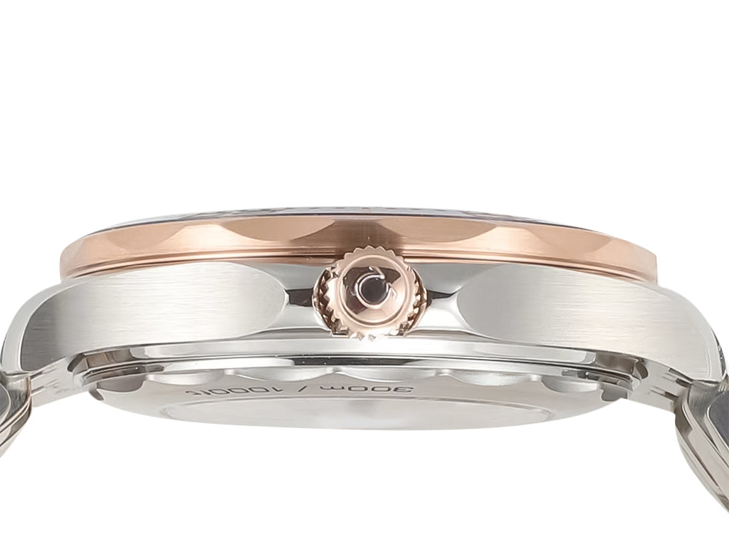 Seamaster Diver 300 Two Tone Rose Gold with Blue Dial (42mm)