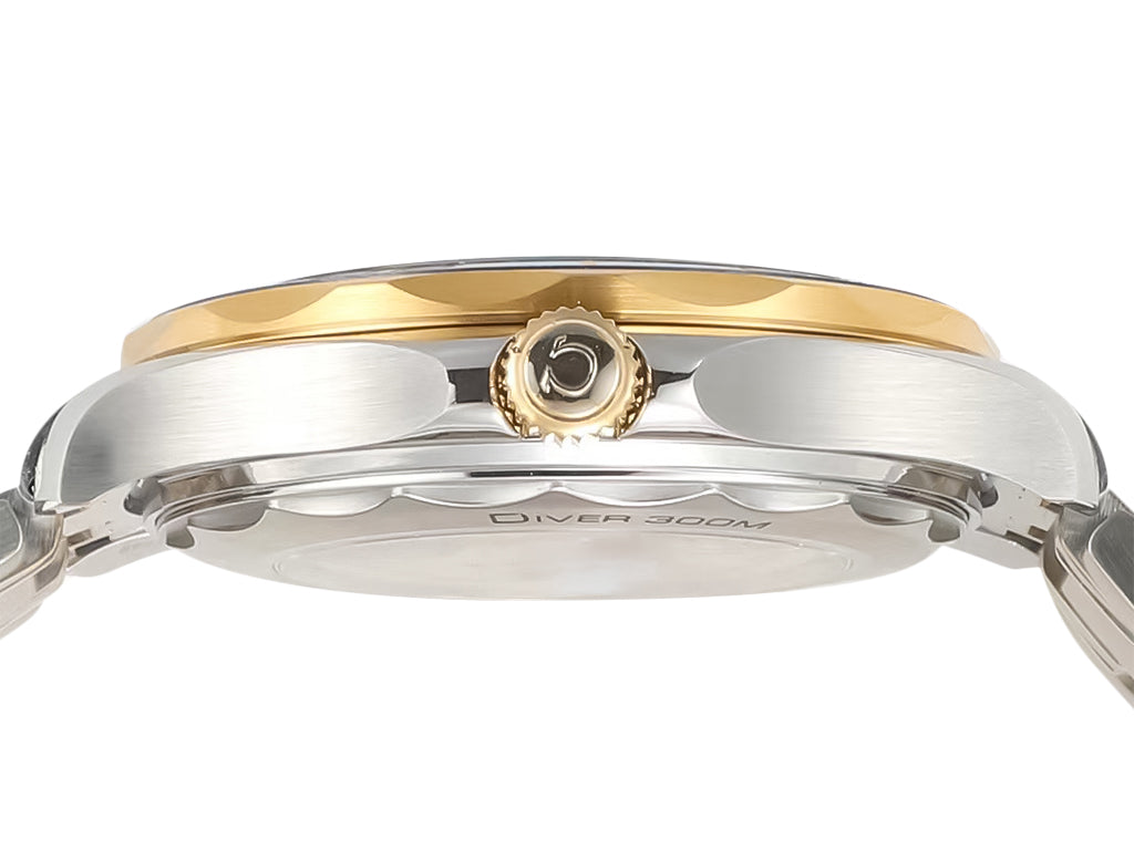 Seamaster Diver 300 Two Tone with Black Dial (42mm)