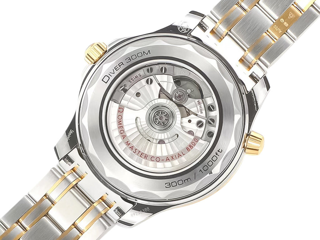 Seamaster Diver 300 Two Tone with Black Dial (42mm)