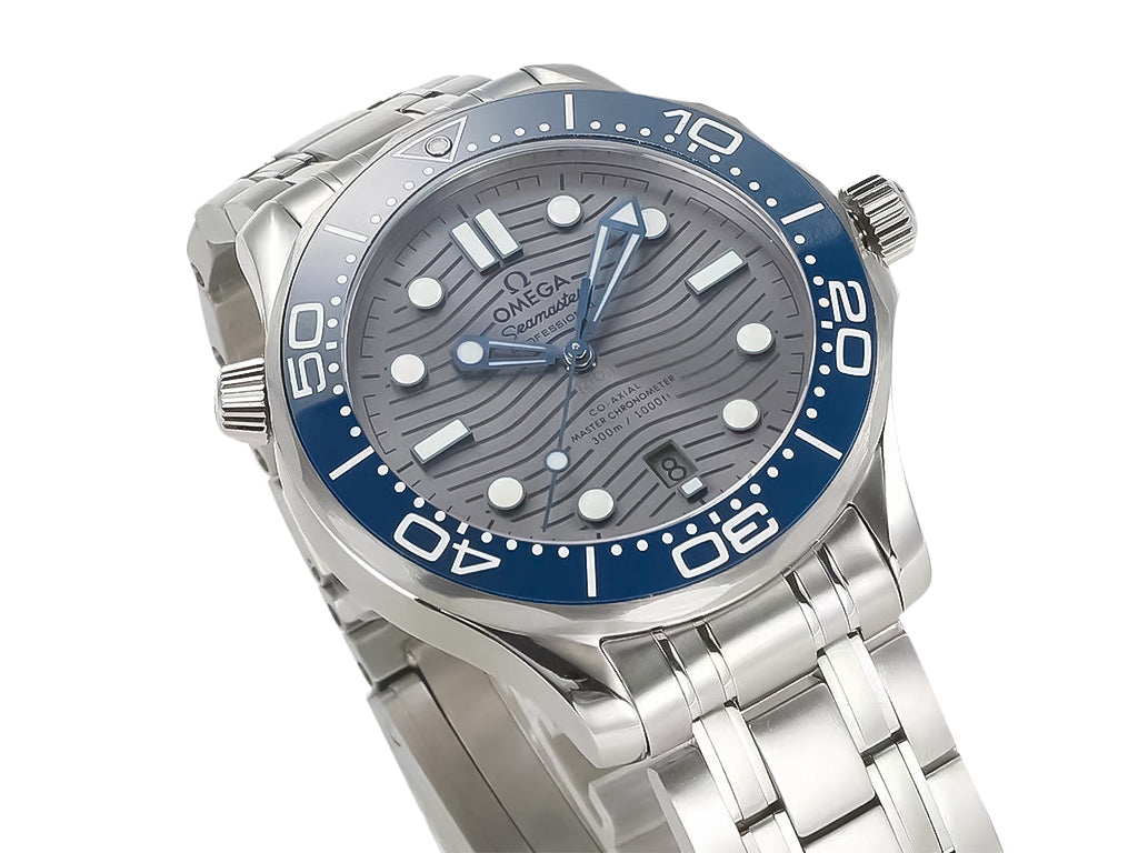 Seamaster Diver 300 Stainless Steel with Silver Dial (42mm)